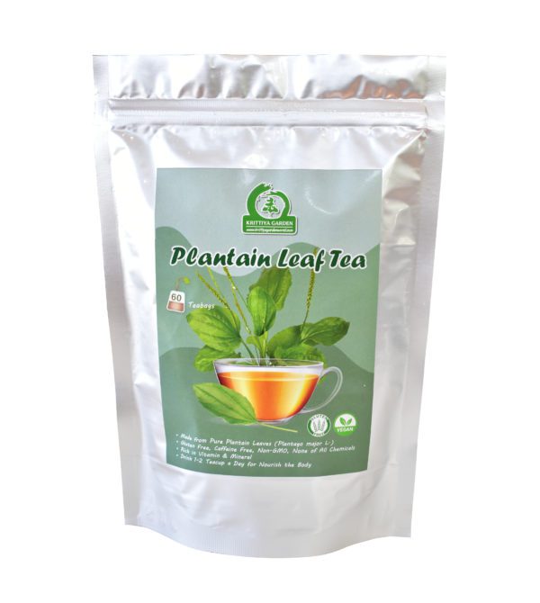 Plantain Leaf Tea